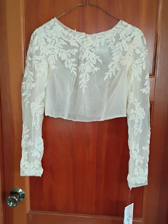 Tops - Delicate Ivory Lace Sheer Crop Top - Women